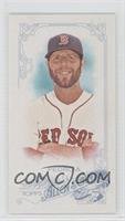 Dustin Pedroia #/25