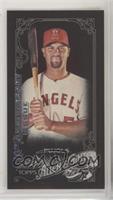 Albert Pujols