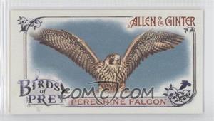 2015 Topps Allen & Ginter's - Birds of Prey Mini #BP-8 - Peregrine Falcon
