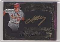 Kolten Wong #/25