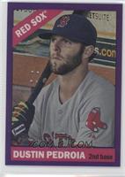 Dustin Pedroia