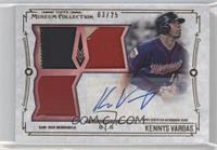 Kennys Vargas #/25