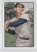 Ted Williams