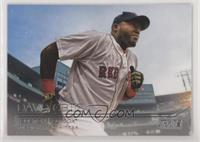 David Ortiz