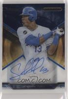 Salvador Perez #/99