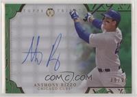 Anthony Rizzo #/99