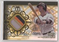 Buster Posey #/25