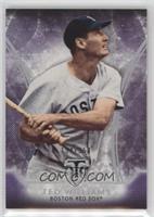 Ted Williams #/354
