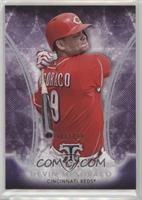 Devin Mesoraco #/354