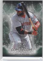 David Ortiz #/250