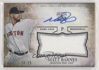 Matt Barnes #/25