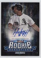 Jose Abreu #/25