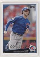 Kris Bryant #/65