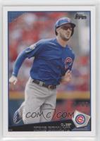 Kris Bryant #33/65