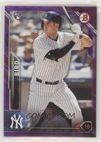 Rookies - Greg Bird [Noted] #/250