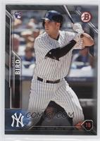 Rookies - Greg Bird