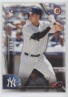 Rookies - Greg Bird