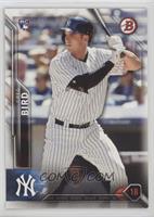 Rookies - Greg Bird [Noted]