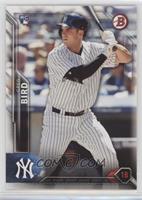 Rookies - Greg Bird