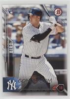 Rookies - Greg Bird