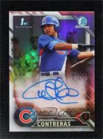 Willson Contreras #/499