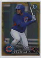 Jeimer Candelario #/50