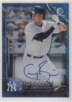 Greg Bird #/150