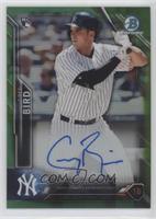 Greg Bird #/99