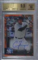 Greg Bird [BGS 9.5 GEM MINT] #/25