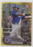 Willson Contreras