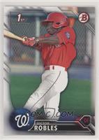 Victor Robles