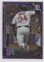 David Ortiz #/250