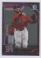 Dustin Pedroia #/250