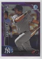 Gary Sanchez #/250