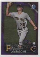 Austin Meadows [EX to NM] #/250