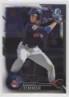 Bradley Zimmer