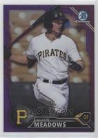 Top Prospects - Austin Meadows [EX to NM] #/250
