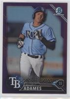 Top Prospects - Willy Adames #/250
