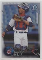 Top Prospects - Francisco Mejia