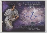 Greg Bird #/150