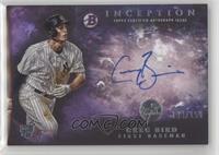 Greg Bird #/150