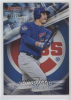 Anthony Rizzo #/250