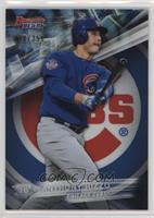 Anthony Rizzo #/250