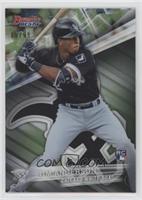 Tim Anderson #/99