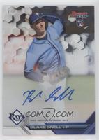 Blake Snell