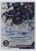 Miguel Sano