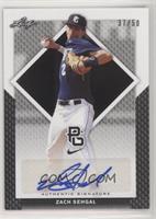 Zach Sehgal [Noted] #/50