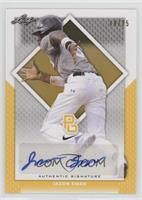 Jason Swan #/25