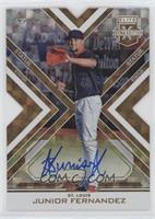 Junior Fernandez #/1