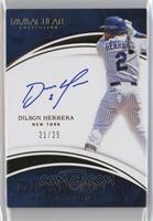 Dilson Herrera #/25